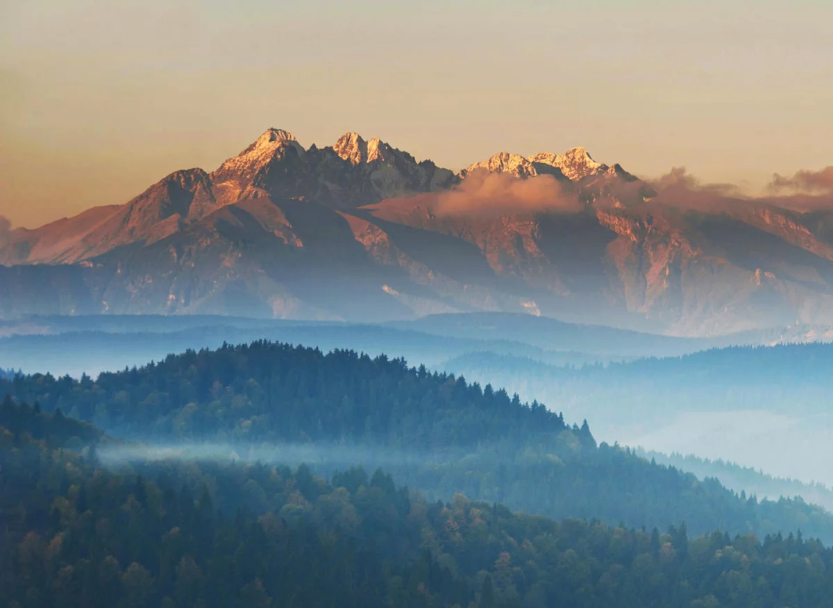 Wizyta u stomatologa - nie ma się czego bać