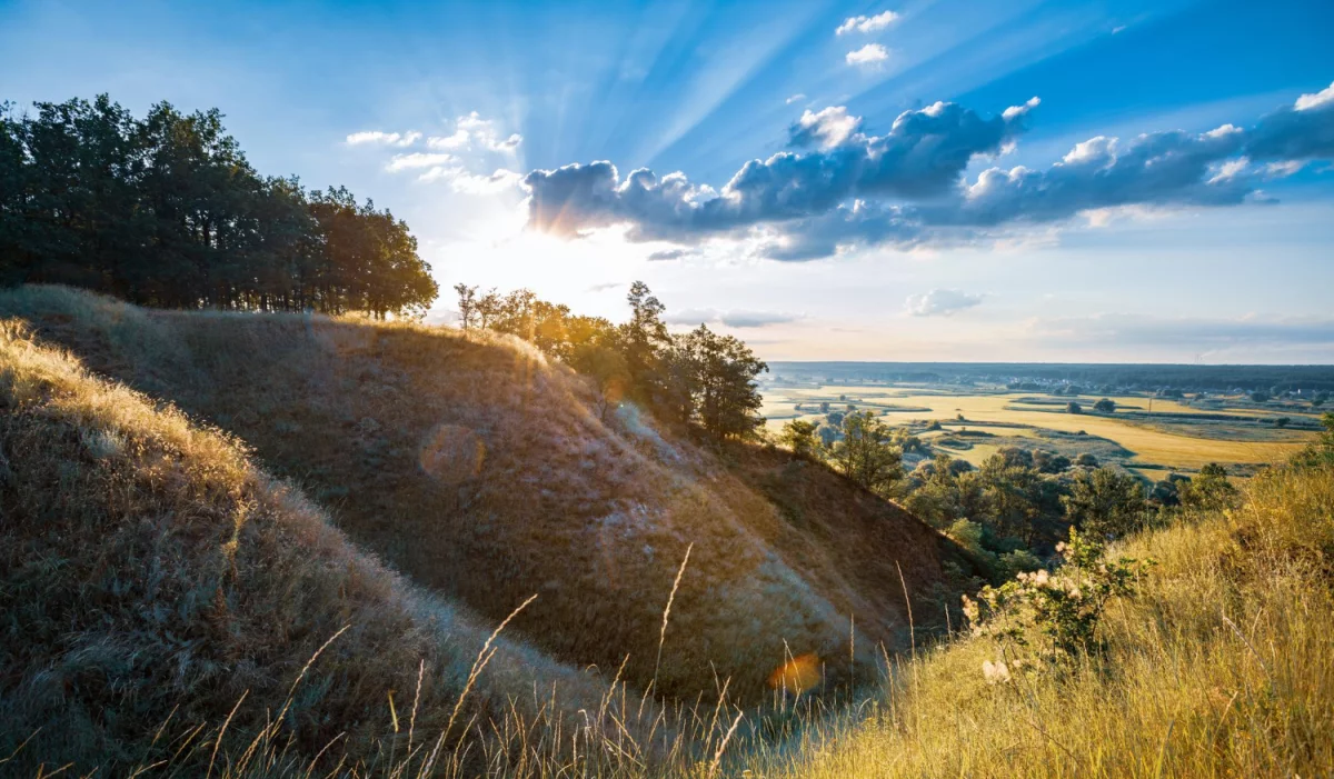 Na temat dentystów i leczeniu u nich zębów