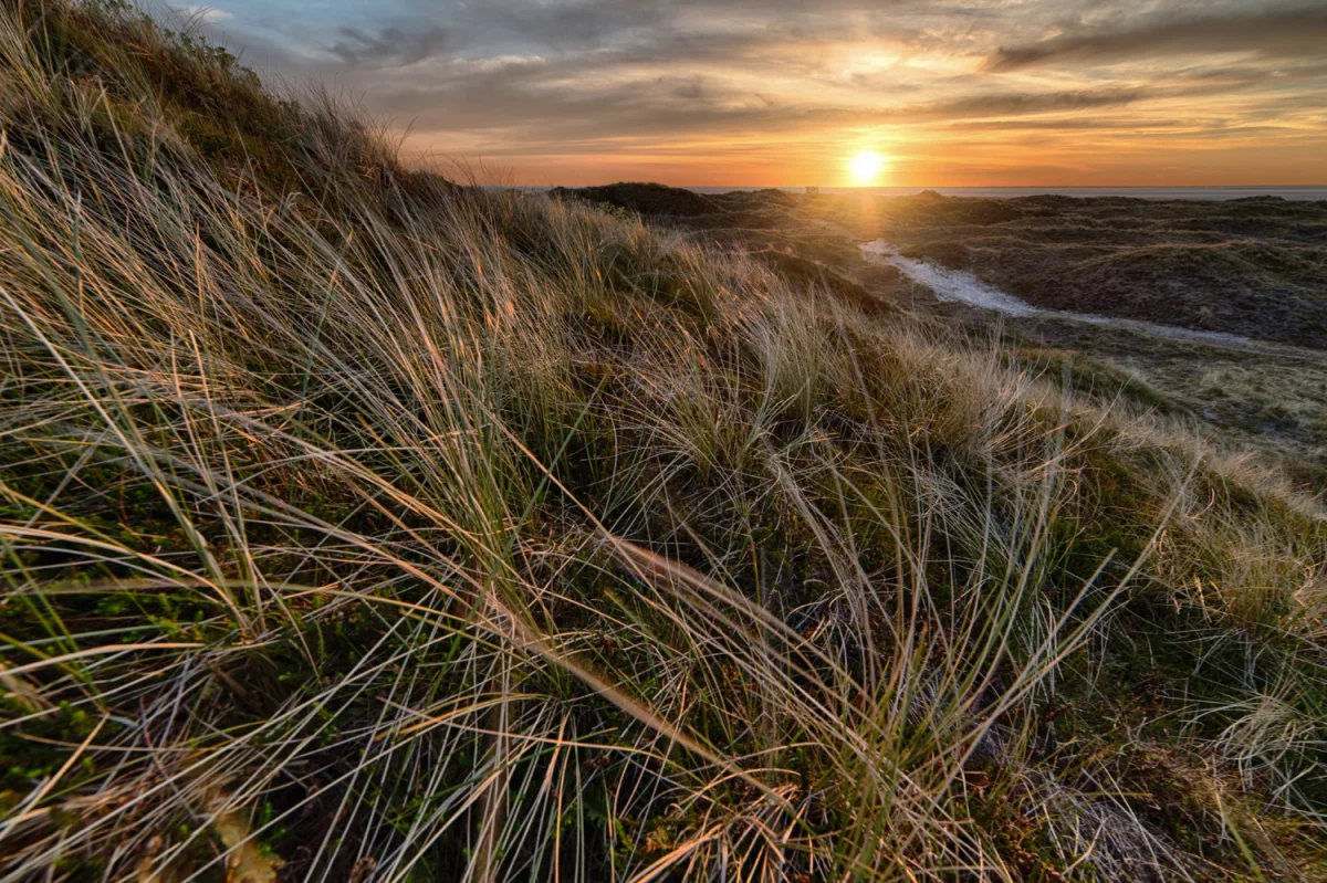 Kilka porad dla pacjentów stomatologicznych