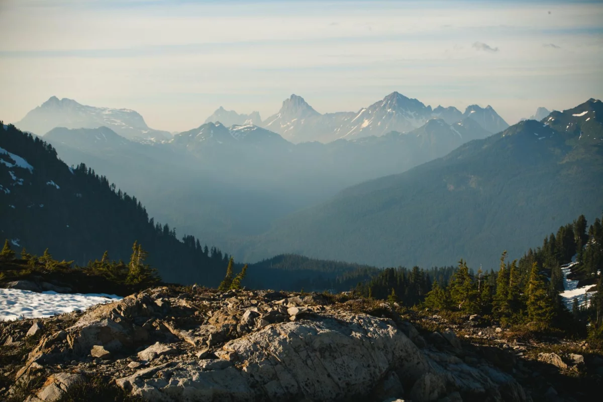 Dentysta nie sadysta, pomaga i zapobiega