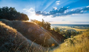 Nie ma powodów do niepokoju - nie bój się stomatologa